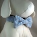 Dog Collar - Dog, Martingale or Cat Collar - All Sizes - Blue Seersucker