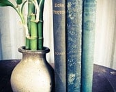 Three Hard Cover Antique Books, The Blues