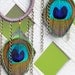 Bohemian Peacock Feather Hoop Earrings: Cotton Wrapped Hoops with Chain Accents