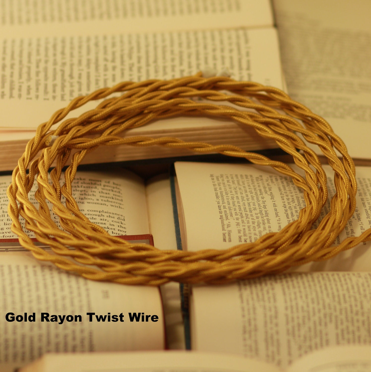 Lighting With Black Enamel Shade & Reproduction Twisted Wire
