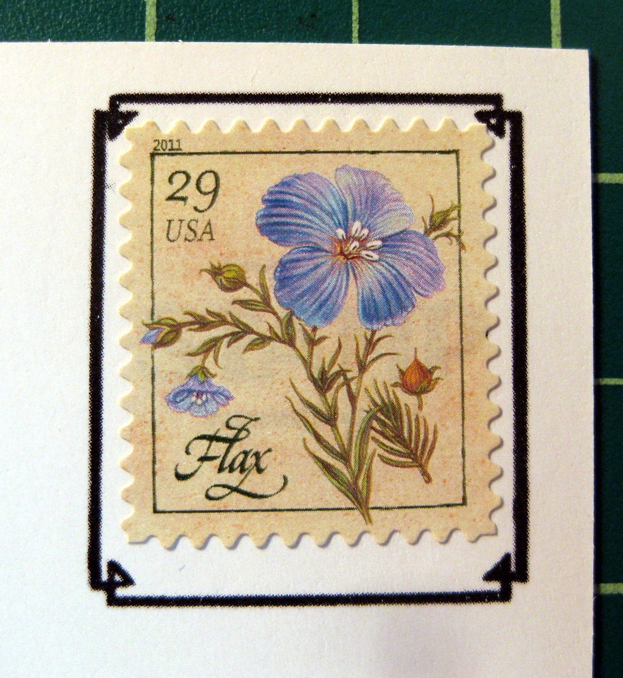 Snail Mail: Not Dead Yet 5 Postcard Pack