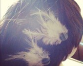 White, feather, hair, clips-Angel of Mine