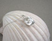 Silver Shell and Pearl Pendant Necklace