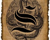 Vintage, Altered, Ephemera, Letter S Digital Image Transfer No.515