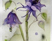 Columbine Watercolor Painting Original Botanical Art Print
