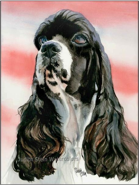 COCKER SPANIEL Parti Color Dog 15x11 Watercolor Art Print