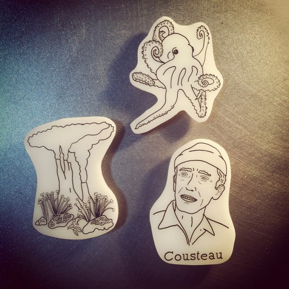 Jacques Cousteau Magnet Set