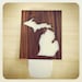 Michigan Night Light
