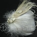 Wedding Bridal White Champagne Peacock Feather Rhinestone Jewel Ivory Veiling Head Piece Hair Clip Fascinator Accessory