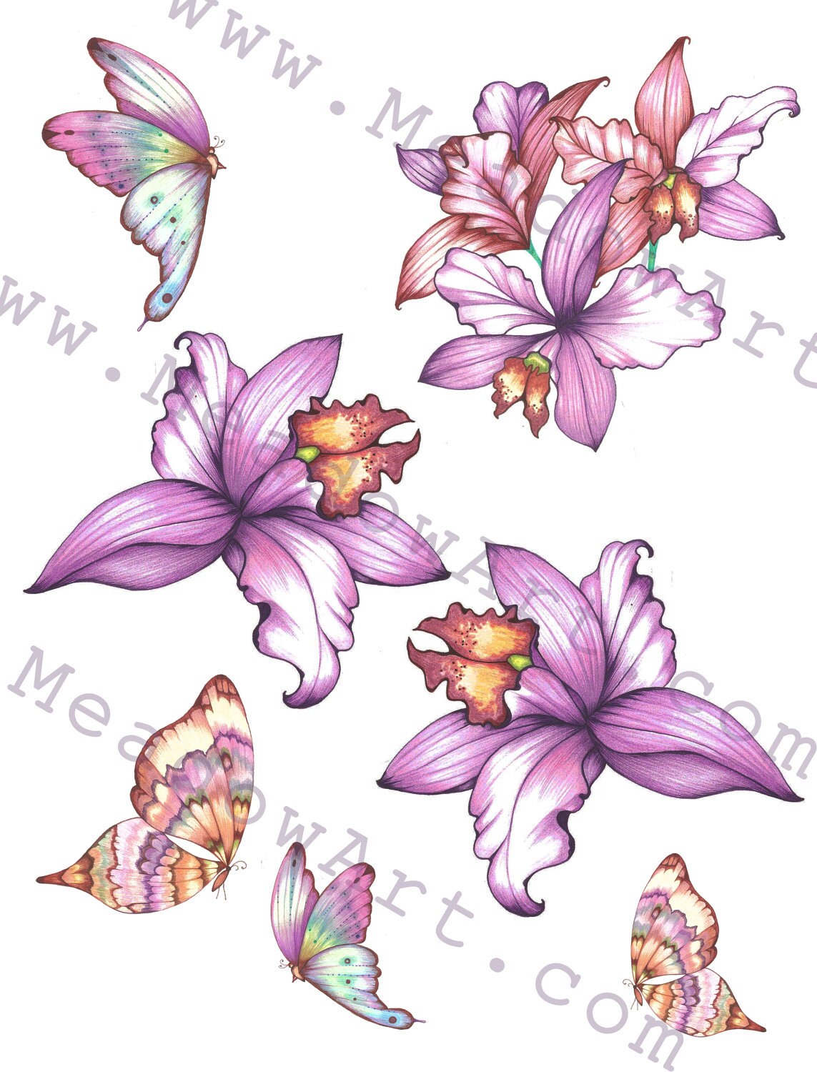 Clip Art Orchids