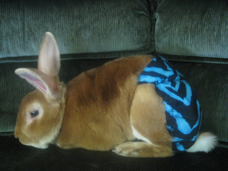 Rabbit Diaper