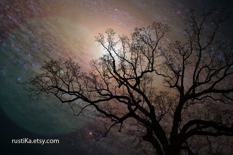 Tree Galaxy Surreal Photography Photo Print 12x18 - A Galaxy of Possibilities