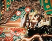 Brown Carnival Horse Carousel Photography Orange and Brown Print -  Intrepid Beast 10x10