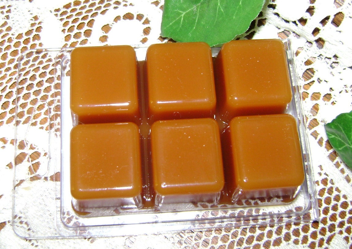 NAG CHAMPA,Candle Melts,Mod,HIGHLY Scented Tarts,Hippie,Tart Warmer,Heart Song Tarts,Wax Tarts,1970s,Candles,Tarts,Scentsy Style