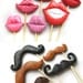 Plastic Mustaches, lips, glasses, bow ties and beard - Set of 17 Photobooth Props Set  - Wedding, party photobooth props