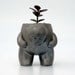 Raku Creature Pot (Planter)