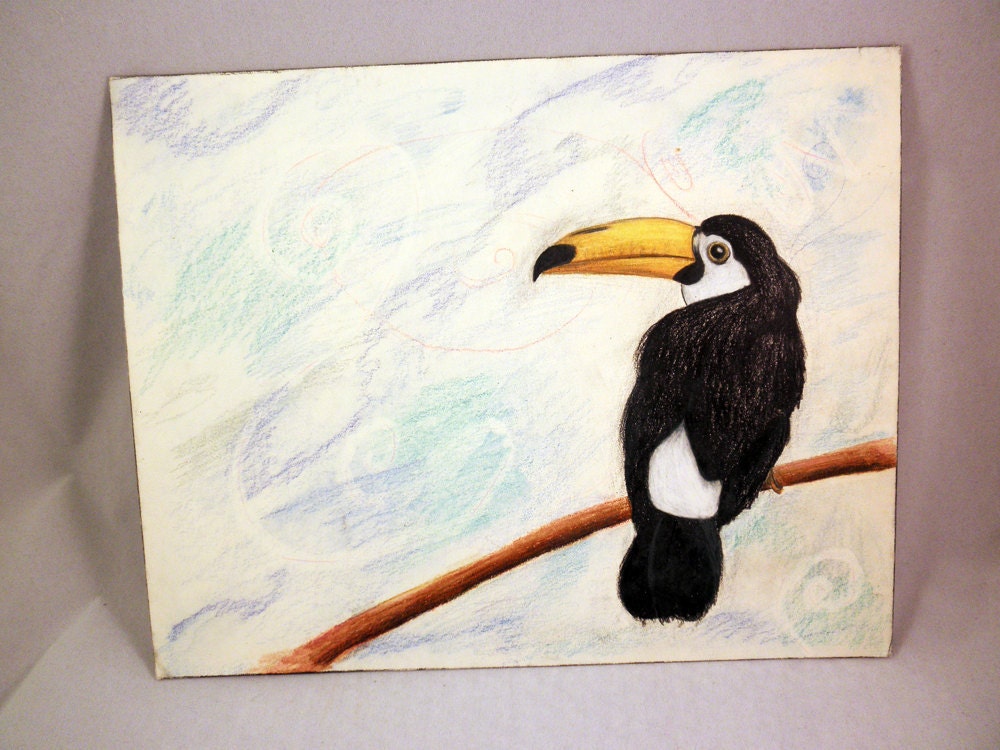 Original Toucan Drawing on 8x10 Matboard