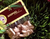 Dora the Explorer Jungle Adventure DIY Folded Animal Cracker Bag Label