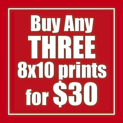 Choose Any Three 8x10 Illustrations for 30.00
