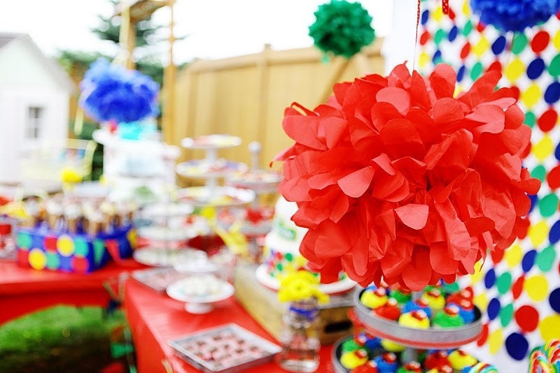 12 Tissue Pom Poms- Sesame Street party