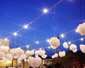12 Tissue Pom poms- On sale