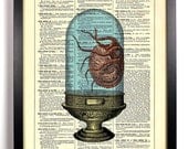 Repurposed Book Upcycled Dictionary Art Vintage Book Print Recycled Vintage Dictionary Page Wondrous Sea Creature Octopus Buy 2 Get 1 FREE