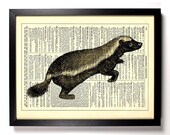 Honey Badger Ratel Animal Repurposed Book Print Upcycled Book Art Upcycled Vintage Book Page Antique Dictionary Buy 2 Get 1 FREE