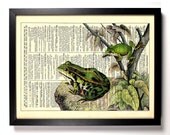 Being Green Frog Amphibian Repurposed Book Upcycled Dictionary Art Vintage Book Print Recycled Vintage Dictionary Page Buy 2 Get 1 FREE