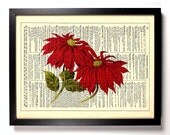 Poinsettia Christmas Holiday Repurposed Upcycled Dictionary Art Vintage Book Print Recycled Vintage Dictionary Page Buy 2 Get 1 FREE