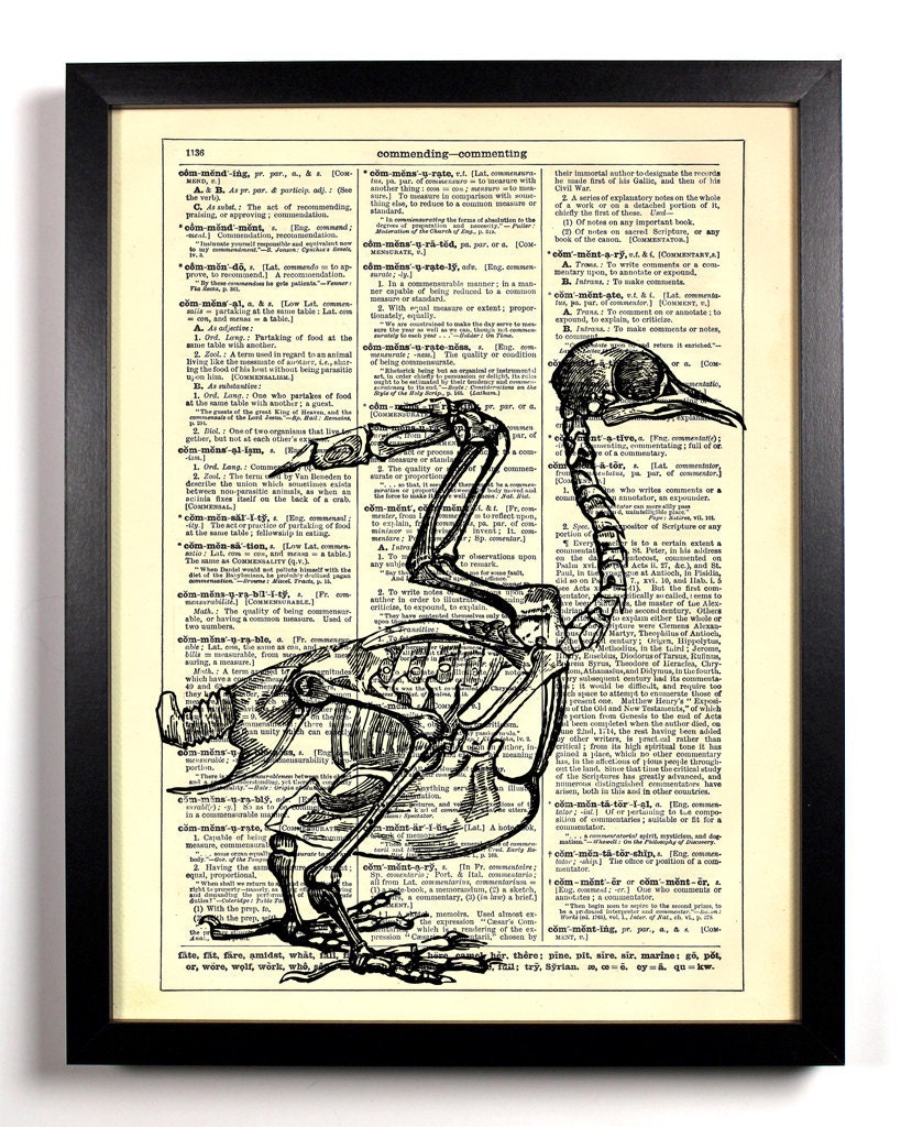 Chicken Skeleton Repurposed Book Upcycled Dictionary Art Vintage Book Print Recycled Vintage Dictionary Page Buy 2 Get 1 FREE