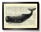 Sperm Whale Repurposed Book Upcycled Dictionary Art Vintage Book Print Recycled Vintage Dictionary Page Buy 2 Get 1 FREE