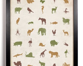 Zoology, 8 x 10 Print.