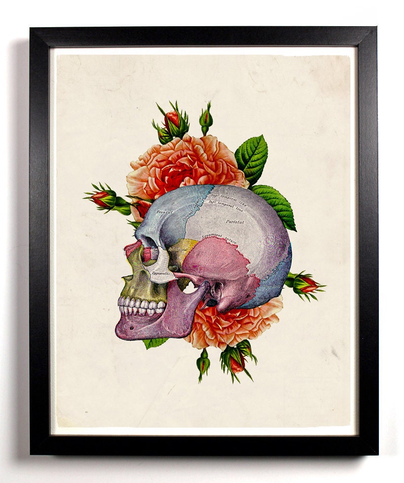 The Beautiful Human Skull With Flowers Antique Illustration  8 x 10 Giclee Art Print Upcled Collage Recycled Book Art Buy 2 Get 1 FREE