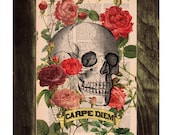 Upcycled Book Print Roses Skull Tattoo CARPE DIEM Print on Vintage Dictionary Book art print