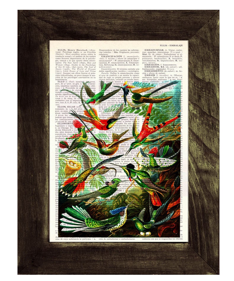 Hummingbirds Print on Vintage Dictionary Book altered art dictionary page illustration book print art