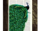 Peacock with endless tail Print on Vintage Dictionary Book altered art dictionary page illustration book print peacock art