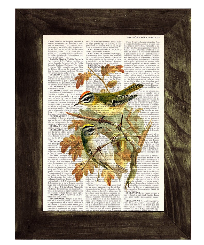 Birds in love print on Book page - Mixed media  art dictionary page printed