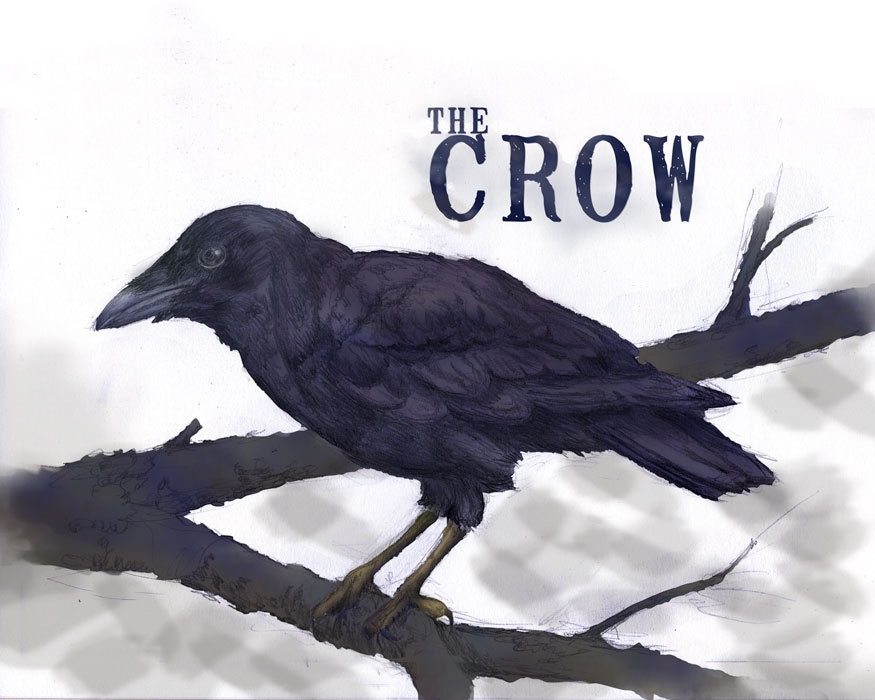 Crow bird blue black Art Print, 10" x 8" Giclee Print from Original Illustration