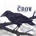 Crow bird blue black Art Print, 10" x 8" Giclee Print from Original Illustration