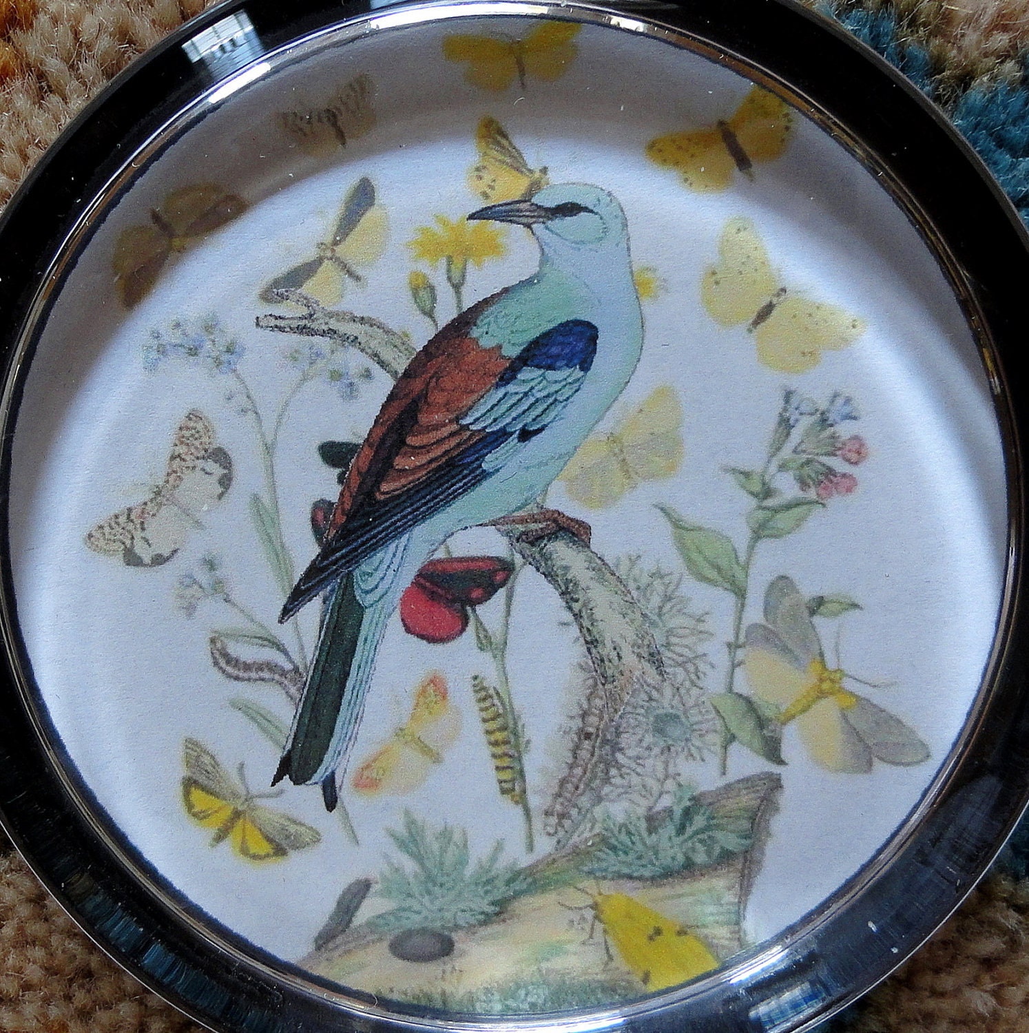 Round Glass Paperweight Antique BIRD & BUTTERFLY Image on a Crisp White Background