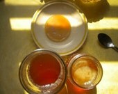 Made With Love FREE Kombucha Scoby Starter Tea Health Benefits Love Life Tea Black Green Vegan