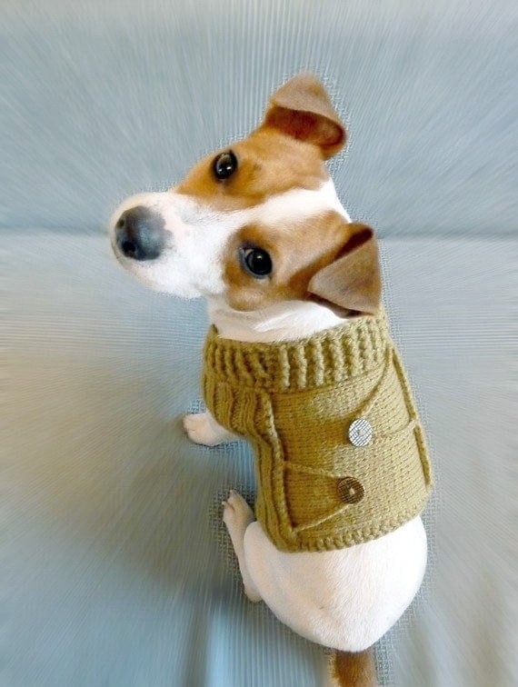 Knitted Mustard Dog Sweater XS size / Dog coat / Dog costume / Dog Clothes