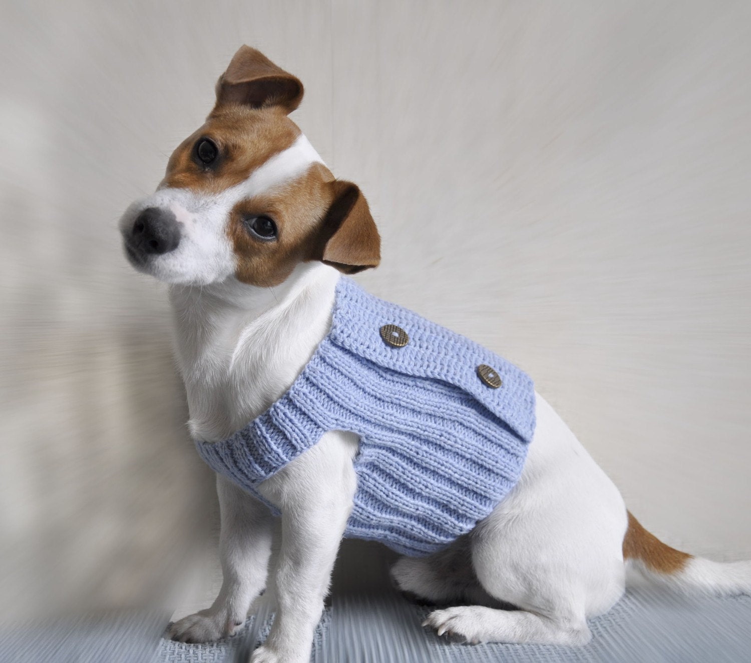 Knit and Crochet Dog Sweater PATTERN  / PDF format Pattern /  Dog clothes pattern / Knit Pattern / Crochet pattern / XS size