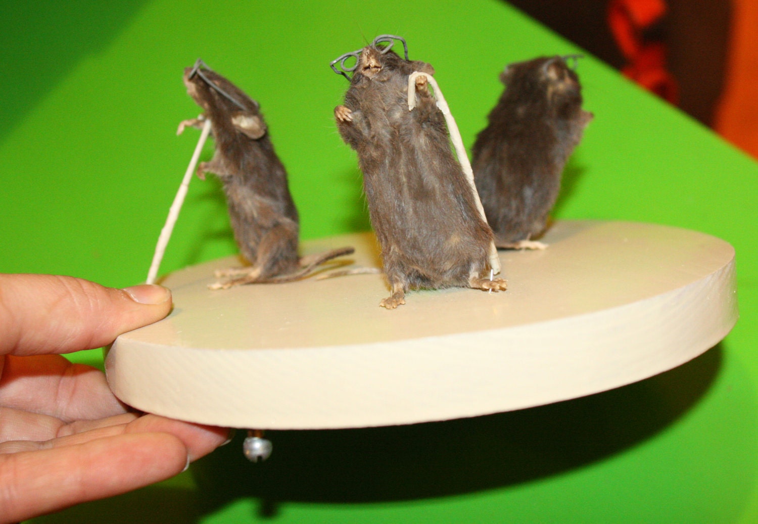 Three Blind Taxidermy Mice