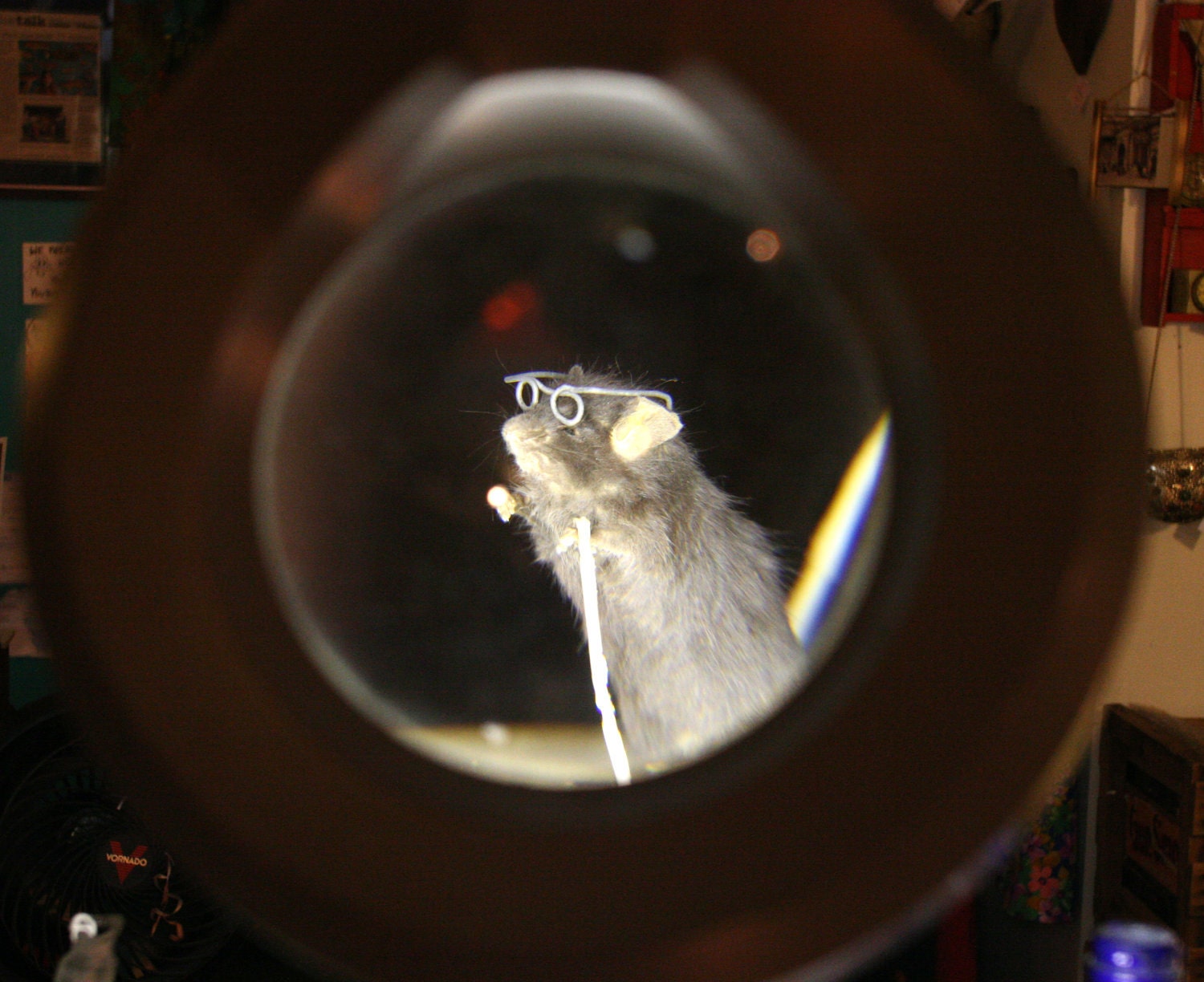 Three Blind Taxidermy Mice