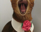 White point collar with flower interchangeable tie
