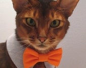 point collar in choice of color or print and interchangeable bow tie for cat