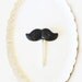 5 Chocolate Mustache Lollipops: Sparkly Gentlemen Series