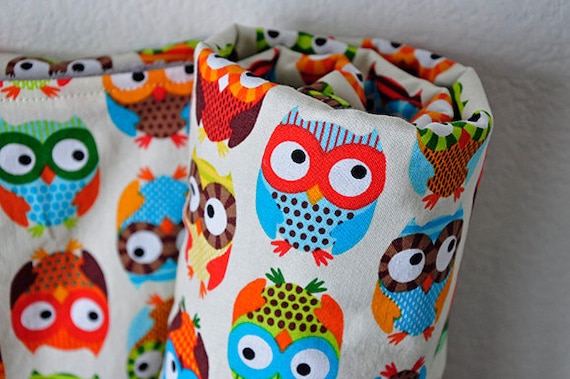 Owl Baby Blanket, Bright Owls in Cream by Alice Kennedy and Brown Bubble Dot Minky