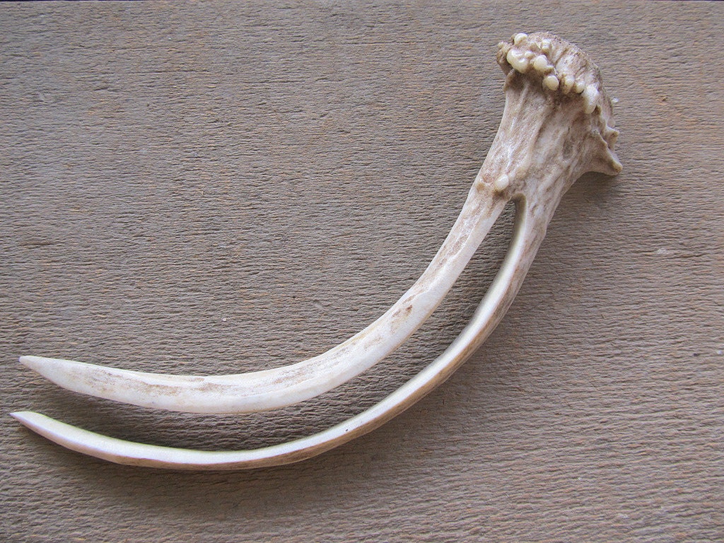 Hair Accessory Hair Stick Comb Fork Deer Antler Carving